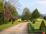 Jardin et lilas en fleurs